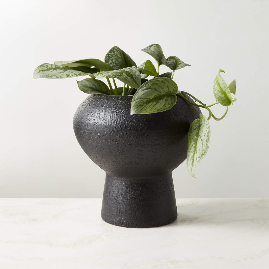 The AZAHARA Vase